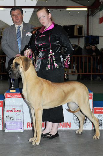 gal/Expo_janvier_2012/_KD36669.jpg