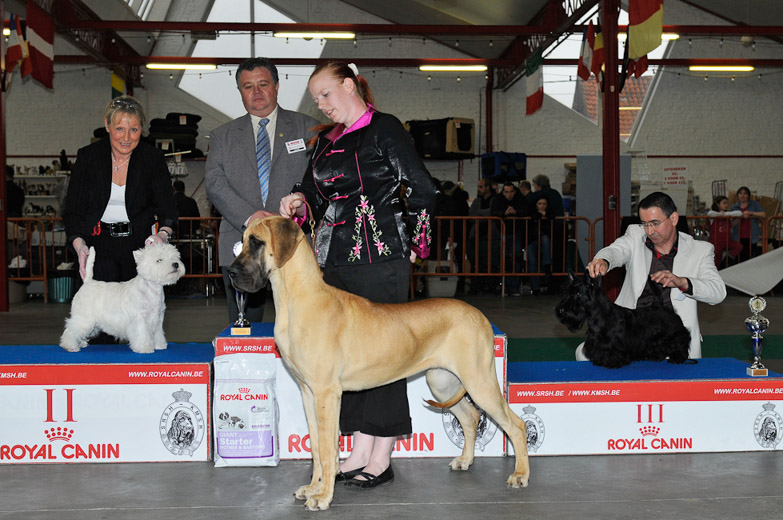 gal/Expo_janvier_2012/_KD36673.jpg