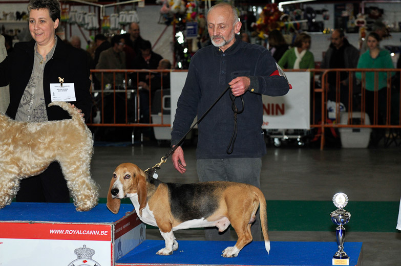 gal/Expo_janvier_2012/_KD36677.jpg