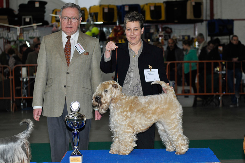 gal/Expo_janvier_2012/_KD36680.jpg