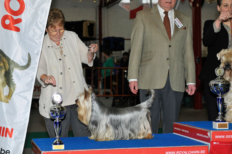 gal/Expo_janvier_2012/_KD36684.jpg