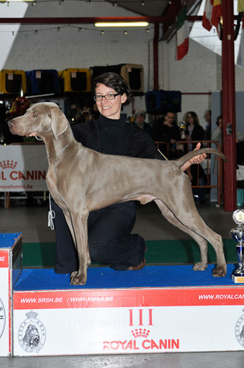 gal/Expo_janvier_2012/_KD36696.jpg