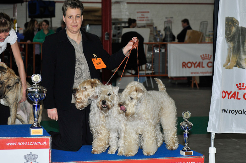 gal/Expo_janvier_2012/_KD36721.jpg