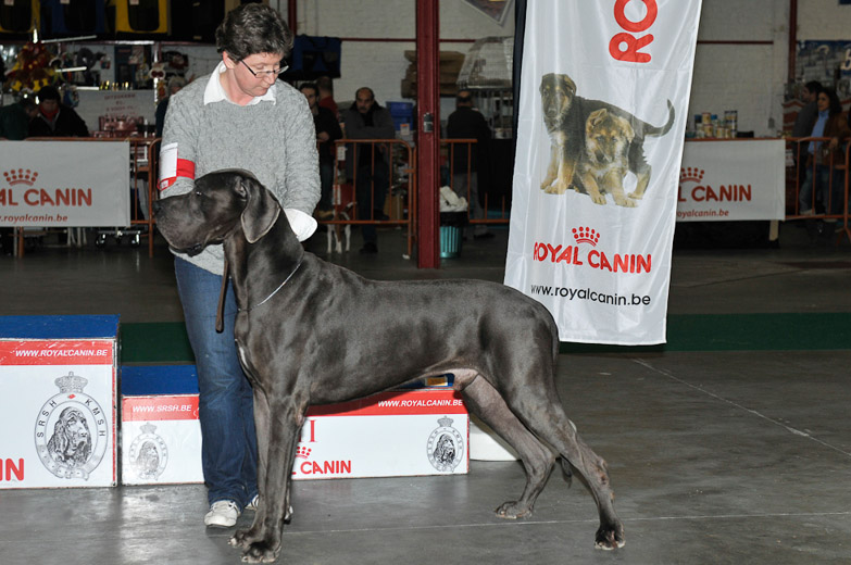 gal/Expo_janvier_2012/_KD36750.jpg