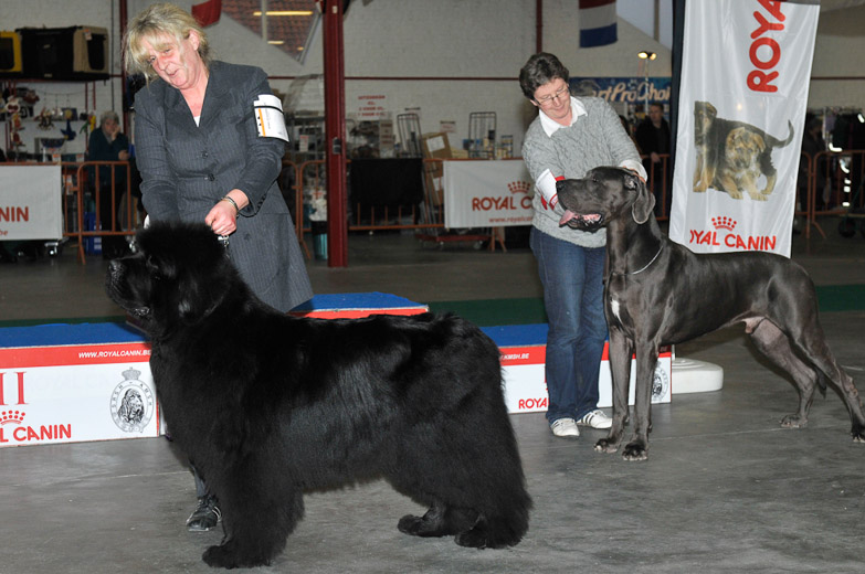 gal/Expo_janvier_2012/_KD36754.jpg