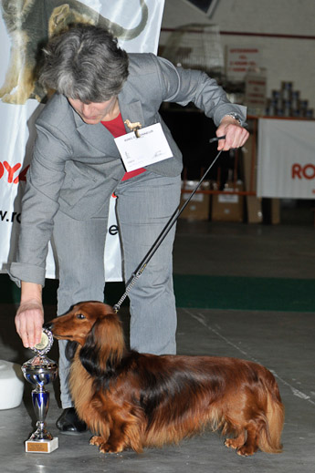 gal/Expo_janvier_2012/_KD36782.jpg