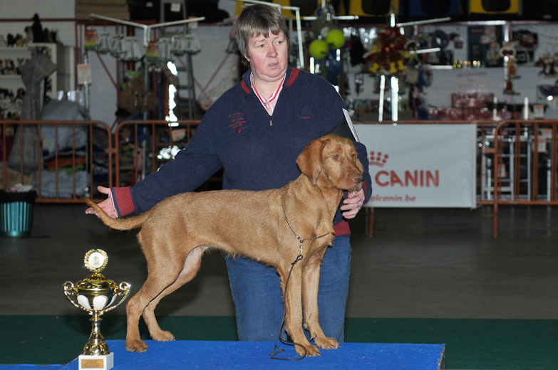 gal/Expo_janvier_2012/_KD36835.jpg