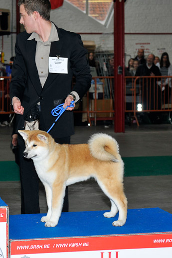 gal/Expo_janvier_2012/_KD36926.jpg