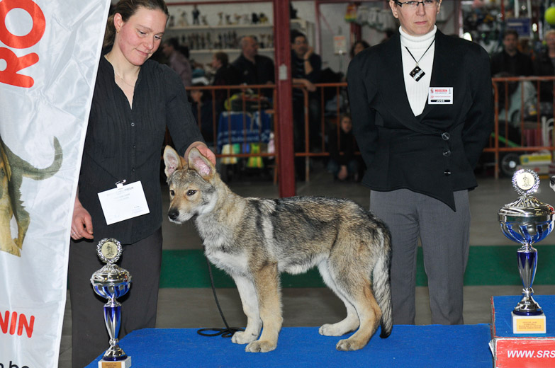 gal/Expo_janvier_2012/_KD36930.jpg