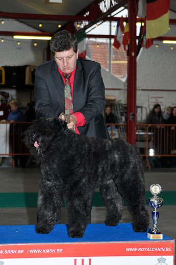 gal/Expo_janvier_2012/_KD36963.jpg