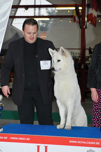 gal/Expo_janvier_2012/_KD36969.jpg