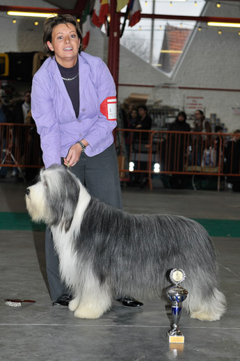 gal/Expo_janvier_2012/_KD36987.jpg