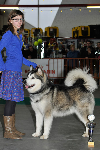 gal/Expo_janvier_2012/_KD37006.jpg