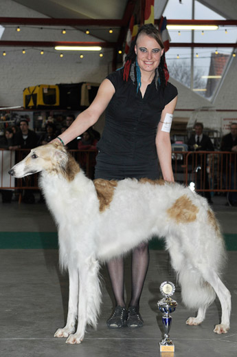 gal/Expo_janvier_2012/_KD37066.jpg