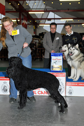 gal/Expo_janvier_2012/_KD37089.jpg