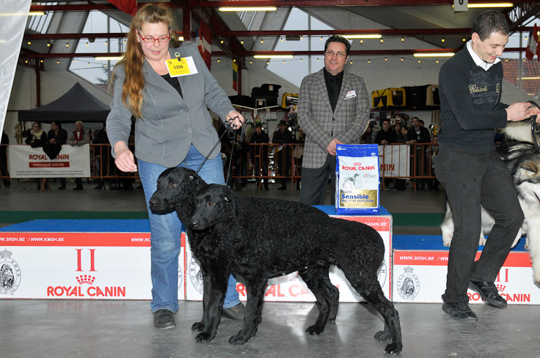 gal/Expo_janvier_2012/_KD37091.jpg