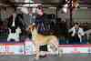 gal/Expo_janvier_2012/_thb__KD36673.jpg