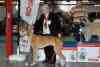 gal/Expo_janvier_2012/_thb__KD36946.jpg