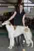 gal/Expo_janvier_2012/_thb__KD37066.jpg