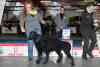 gal/Expo_janvier_2012/_thb__KD37091.jpg