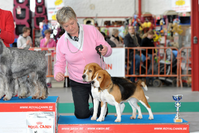 gal/Expo_janvier_2013/KDL_3648.jpg