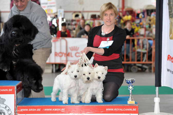 gal/Expo_janvier_2013/KDL_3652.jpg