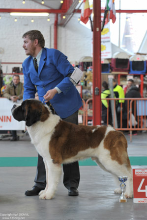 gal/Expo_janvier_2013/KDL_3715.jpg