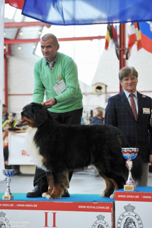 gal/Expo_janvier_2013/KDL_3727.jpg