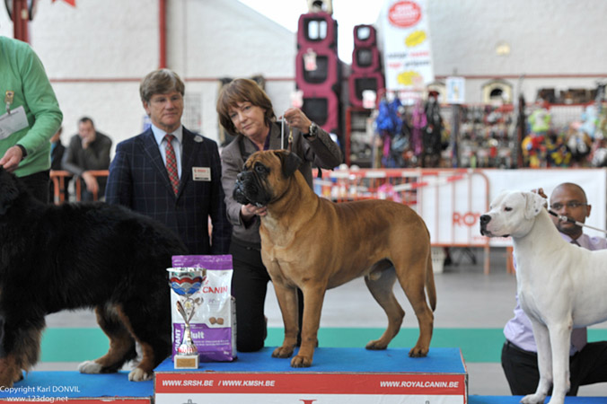 gal/Expo_janvier_2013/KDL_3728.jpg