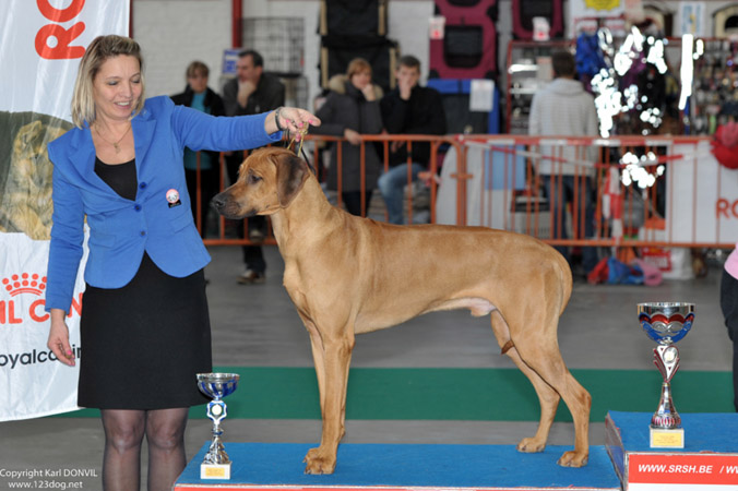 gal/Expo_janvier_2013/KDL_3791.jpg