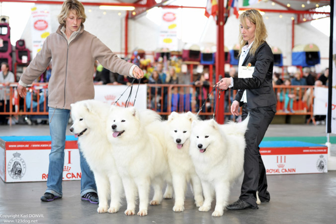 gal/Expo_janvier_2013/KDL_3916.jpg