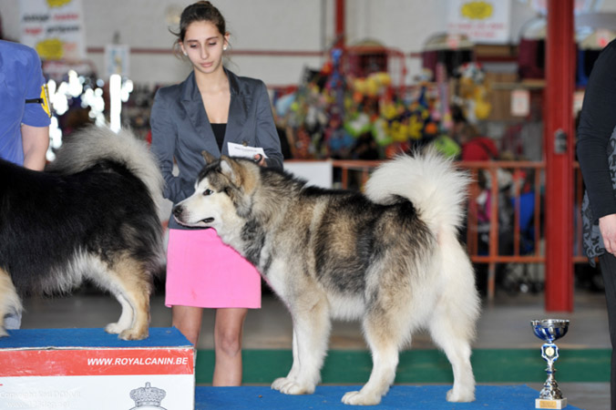 gal/Expo_janvier_2013/KDL_4005.jpg