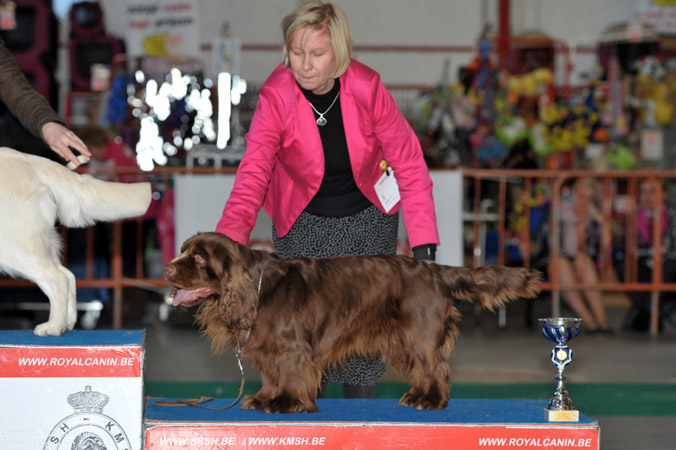 gal/Expo_janvier_2013/KDL_4013.jpg