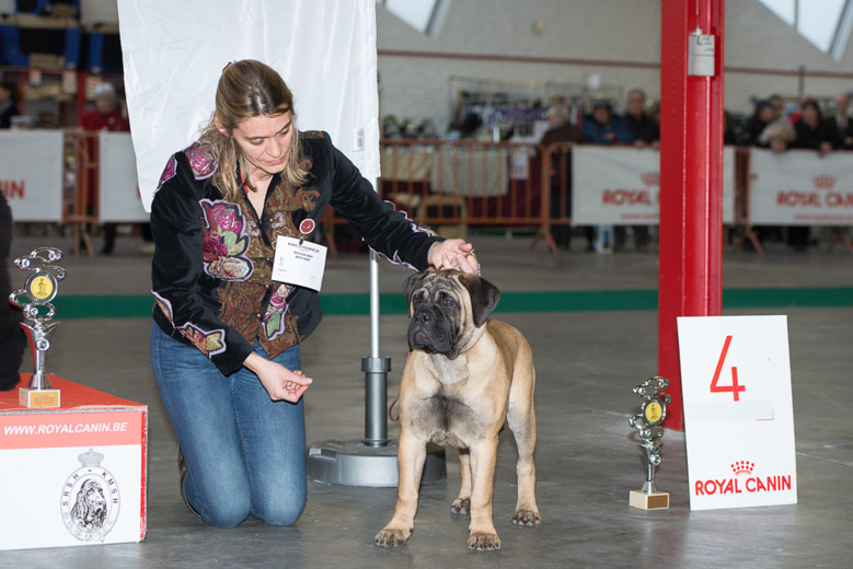 gal/Expo_janvier_2014/_KD69294.jpg