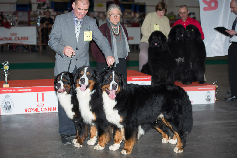 gal/Expo_janvier_2014/_KD69350.jpg