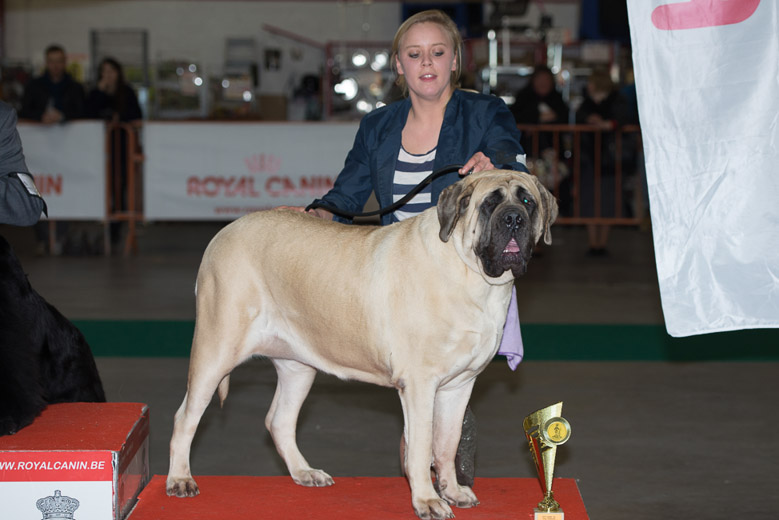 gal/Expo_janvier_2014/_KD69376.jpg