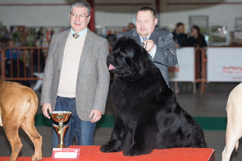 gal/Expo_janvier_2014/_KD69383.jpg