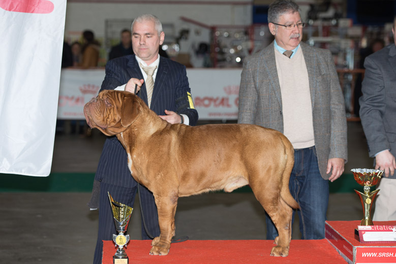 gal/Expo_janvier_2014/_KD69385.jpg