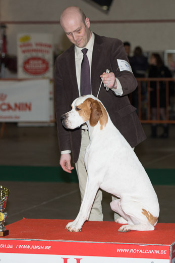 gal/Expo_janvier_2014/_KD69453.jpg