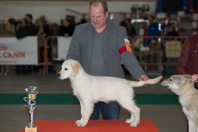 gal/Expo_janvier_2014/_KD69544.jpg