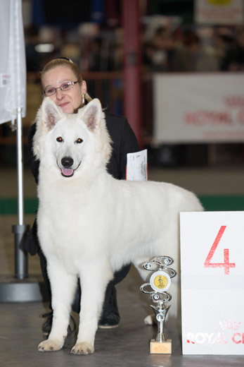 gal/Expo_janvier_2014/_KD69551.jpg