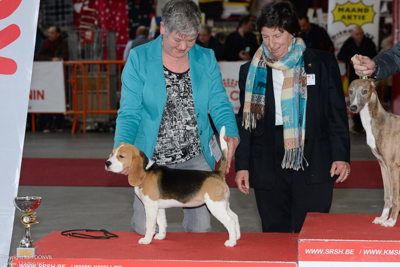 gal/Expo_janvier_2016/_KD69282.jpg