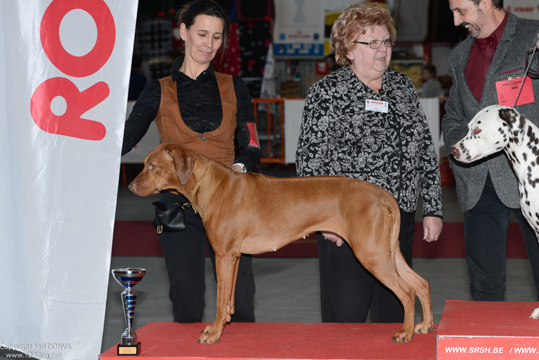 gal/Expo_janvier_2016/_KD69384.jpg