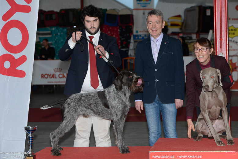 gal/Expo_janvier_2016/_KD69393.jpg