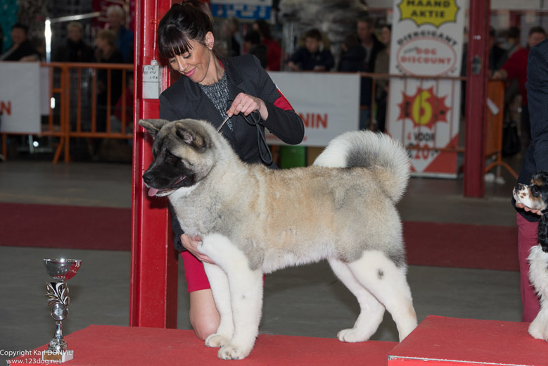 gal/Expo_janvier_2016/_KD69598.jpg