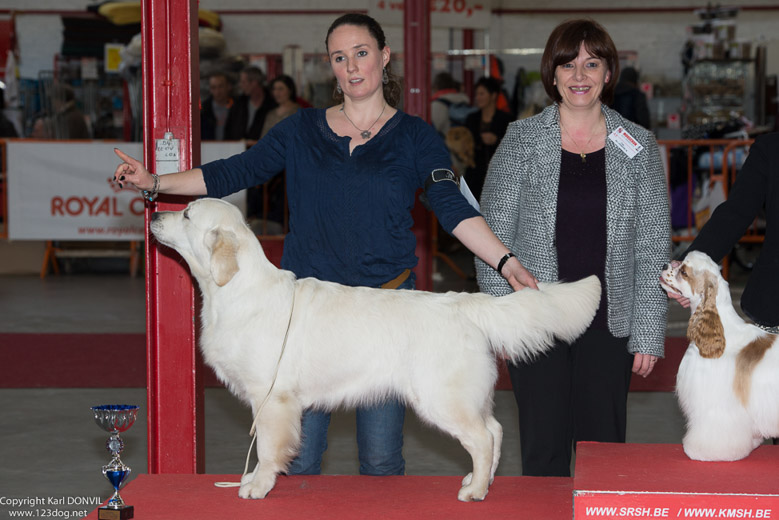 gal/Expo_janvier_2016/_KD69625.jpg