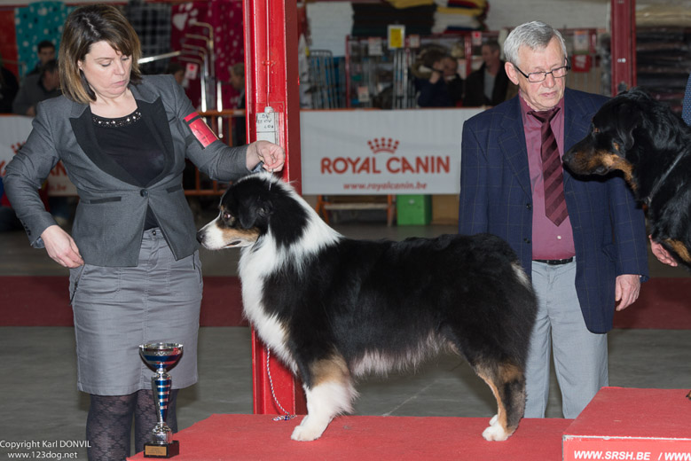 gal/Expo_janvier_2016/_KD69635.jpg