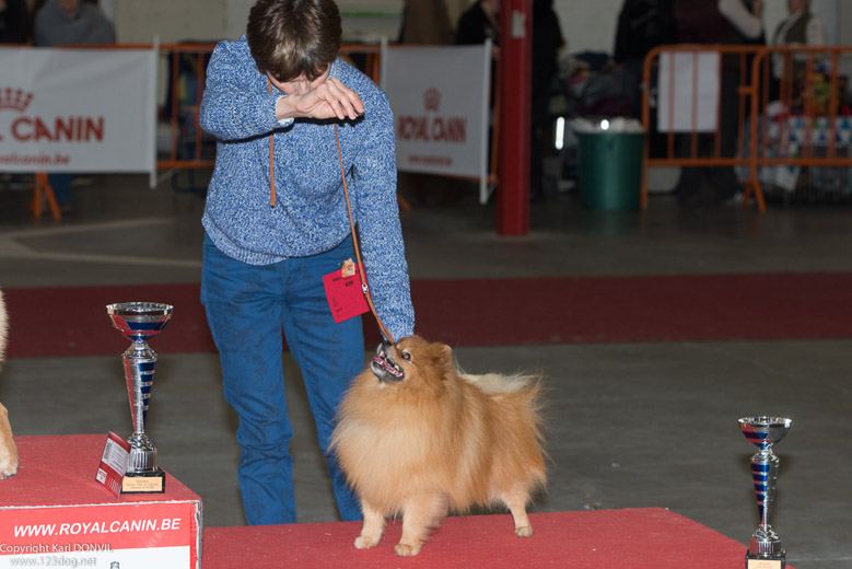 gal/Expo_janvier_2016/_KD69646.jpg