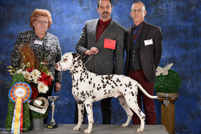 gal/Expo_janvier_2016/_KD85319.jpg