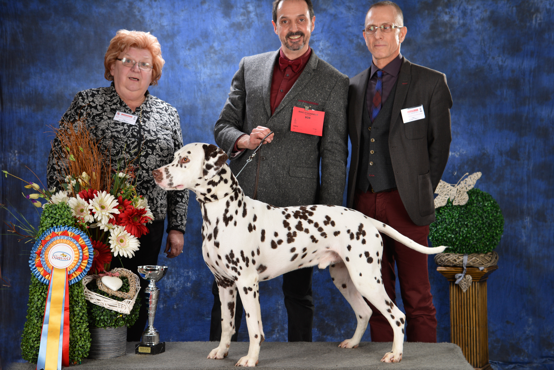 gal/Expo_janvier_2016/_KD85320.jpg